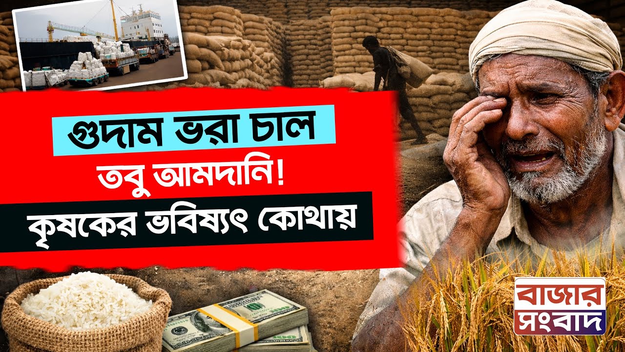চাল ভরা গুদাম, তবু বিদেশ থেকে আমদানি! ক্ষতিগ্রস্ত কৃষক